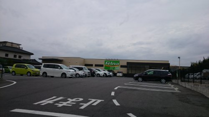 Ｆｅｌｎａ（フェルナ）緑ヶ丘店の画像1