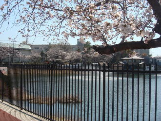 青池公園の画像1