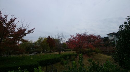 山ノ手公園の画像3