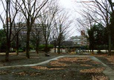 日向根公園