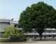 鹿沼市立北押原小学校の画像