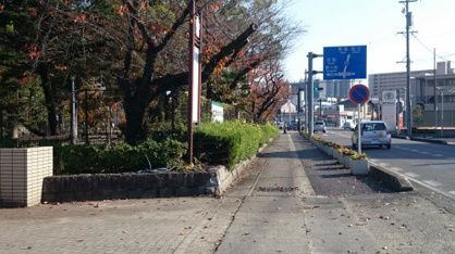 豊田市立挙母小学校の画像5
