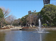 平塚市総合公園