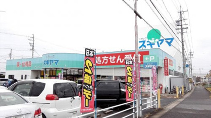 ドラッグスギヤマ美里店の画像1