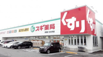 スギ薬局 美里店