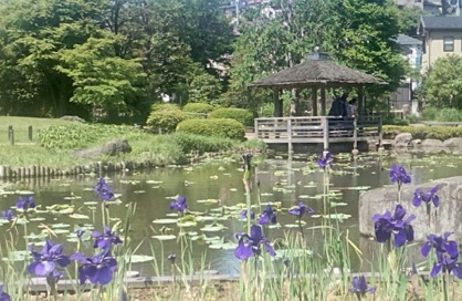 馬場花木園情報ページ 品川区 大田区 渋谷区 目黒区の賃貸情報サイト アイディアルホーム 馬場花木園情報ページ 品川区 大田区 渋谷区 目黒区の賃貸情報サイト アイディアルホーム