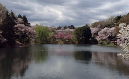 県立三ツ池公園の画像1
