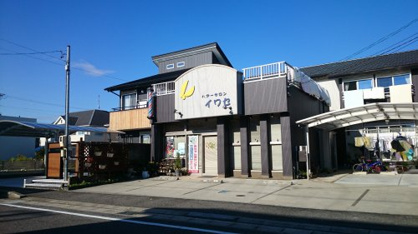 イワセの画像1