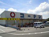 コーナンくいな橋店