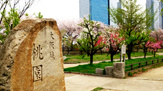 大阪城桃園