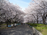 毛馬桜之宮公園
