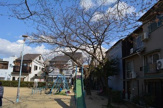 蒲生南公園
