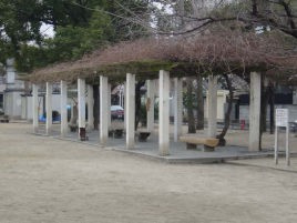 内代公園の画像1