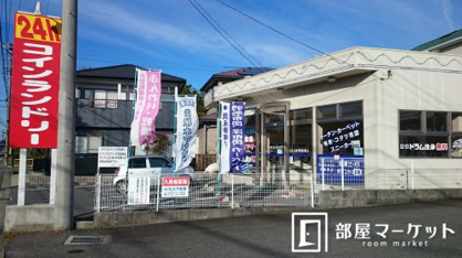 ブルーダイヤの画像1