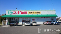 スギ薬局元宮店