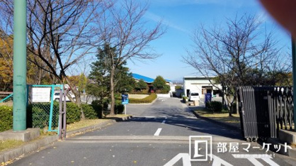 さなげアドベンチャーフィールドの画像2