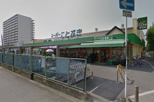 の画像