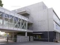 世田谷区立松沢小学校