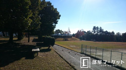 土橋公園の画像3
