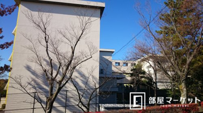 豊田市立土橋小学校の画像3