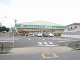 ドラッグセイムス入谷舎人店