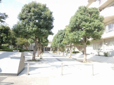 入谷南中学校の画像1