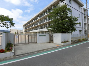 高田小学校の画像1