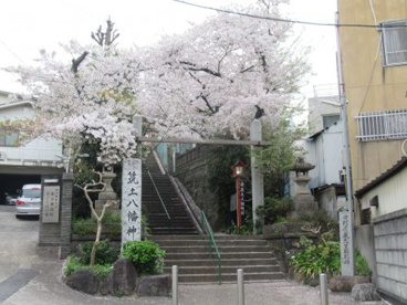 筑土八幡神社の画像1