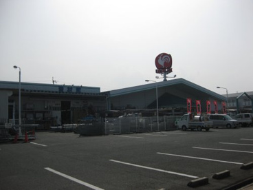 コメリハード&グリーン 新旭店の画像2