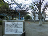 一本松児童公園