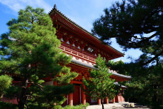 大徳寺