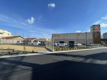 （株）ライフコーポレーション 初芝店の画像1