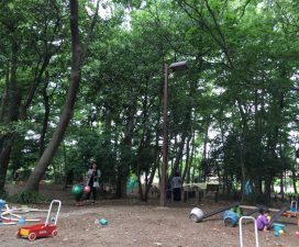 井頭の森緑地の画像2