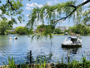 石神井公園の画像1