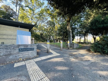 石神井公園の画像2