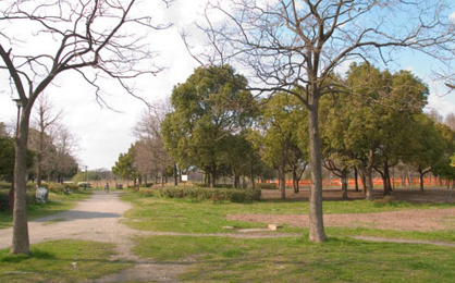 舎人公園の画像1