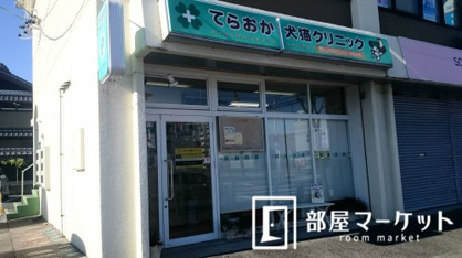 てらおか犬猫クリニックの画像1