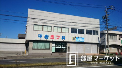平岩皮フ科の画像1