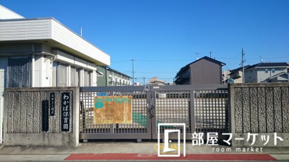 わかば保育園の画像3