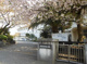 門池小学校の画像