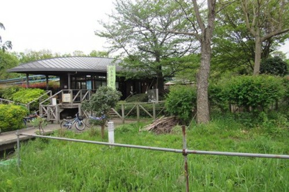せせらぎ公園の画像1