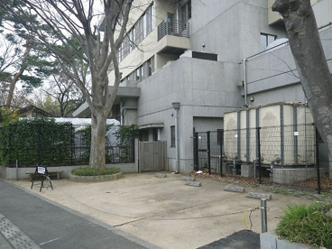 自由学園高等科の画像1