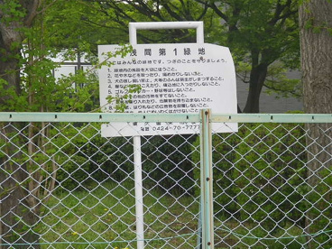 浅間第１緑地の画像4