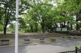 清瀬金山緑地公園