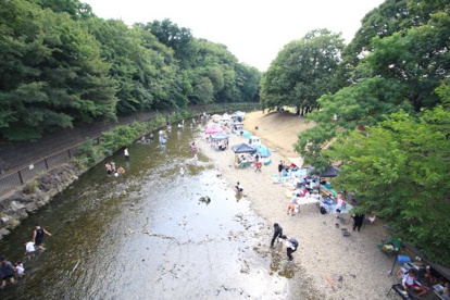 清瀬金山緑地公園の画像1