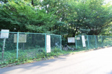 金山森の広場