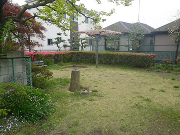 小山第１緑地の画像3