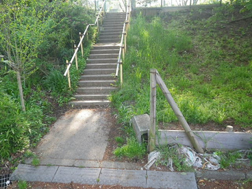 南沢第２緑地の画像1