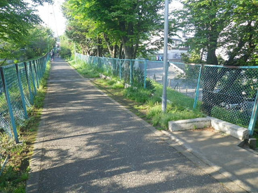 南沢第２緑地の画像2