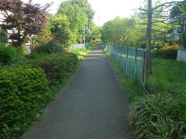 南沢第２緑地の画像5